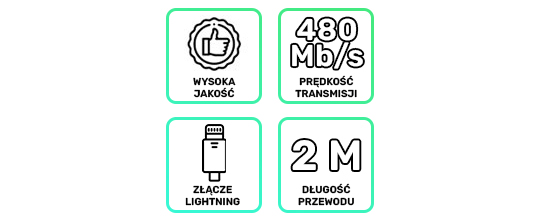 Kabel USB-C do Lightning Baseus Display PD 20W 2m 