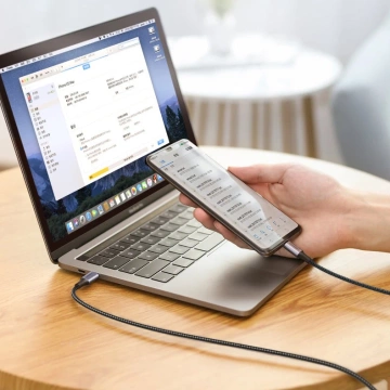 Ugreen Kabel USB Type C - USB Type C Power Delivery 100W Quick Charge FCP 5A 3m grau (90120 US316)