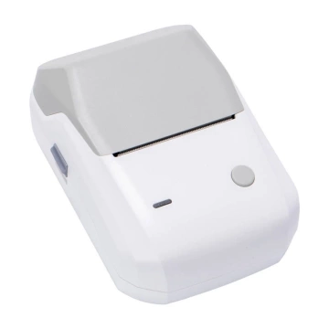Niimbot B1 Mobiler Thermo-Etikettendrucker Grau Bluetooth