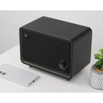 Retro głośnik Bluetooth 30 W, 2600 mAh FM / TF / AUX – przenośny, 10 h