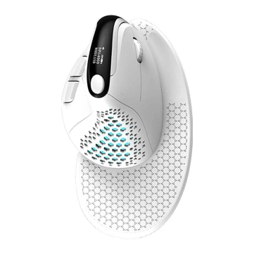 Delux M618XSD BT 2,4 G RGB kabellose vertikale Maus (weiß)